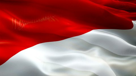 Indonesia flag video. National 3d Indonesian Flag Slow Motion video. Indonesia Flag Blowing Close Up. Indonesian Flags Motion Loop HD resolution Background Closeup 1080p Full HD video. Indonesia flags