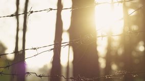 Close-up view 4k stock video footage of barbed wire isolated on blurry sunset sunny forest background