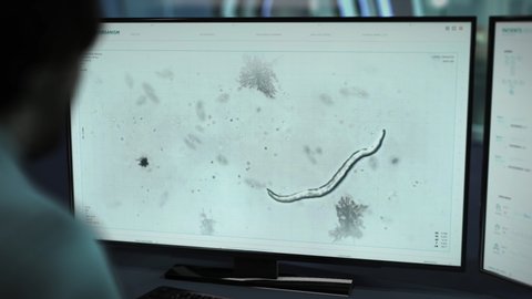 Parasite Worm Analysis Used In Parasitology Lab Research. Microscopic Parasite Worm Analysis In Innovative Scientific Software. Parasite Worm Microorganism Movement Analysis Process.