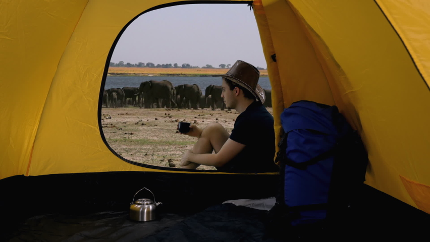 View from tent of guy in cowboy hat sitting, drinking tea and looking at herd of African elephants near watering hole, Chobe national park in Botswana, Africa