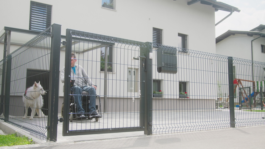 Handheld shot of a service dog, a beautiful White Swiss Shepherd, helping his owner with disability in everyday life, by opening a courtyard gate.