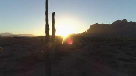 4K Desert Sunrise with Sun Peaking Through Saguaro Cactus Dolly Right