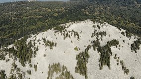 Aerial view of rocky mountain range. Panoramic view of the green dense forest at the foot of the hill. Mountains can be seen in the distance in the fog. Drone videoshooting