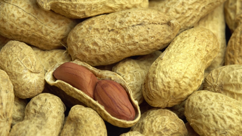 Ground peanuts rotate as background, peanuts in shells, ground nuts Royalty-Free Stock Footage #1082989198