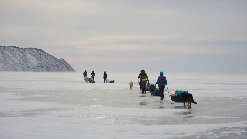 Tourists with sled dogs move away over frozen ice. Survival at severe expedition