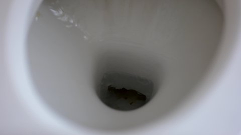 Water in a flushing toilet