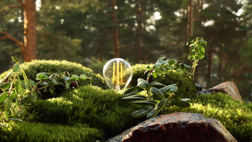 The energy-saving light bulb flickers and lights up among the greenery of the virgin northern forest, drawing energy from the nature. The concept of eco-friendly, green energy and carbon neutrality. | Shutterstock HD Video #1082999536