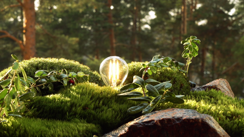 The energy-saving light bulb flickers and lights up among the greenery of the virgin northern forest, drawing energy from the nature. The concept of eco-friendly, green energy and carbon neutrality.