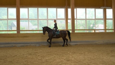 SLOW MOTION: Young Caucasian woman horseback riding indoors warms up her dark brown stallion. Experienced female rider practices trotting with her stunning gelding during indoor flatwork practice.