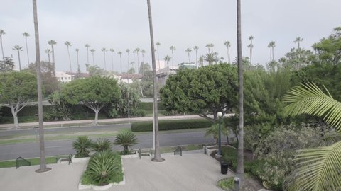Beverly Hills , United States - 11 07 2021: Rising aerial, Beverly Hills hotel between palm trees, early morning fog