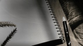 Notebooks, pen and hard shadow of glass vase. Workplace,  writer desk table concept. High contrast - Powered by Shutterstock - Get 15% off with code: PIKWIZARD15
