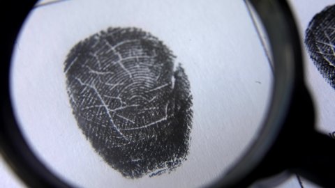 Police Inspector Examines Fingerprint Records Of Male Suspect