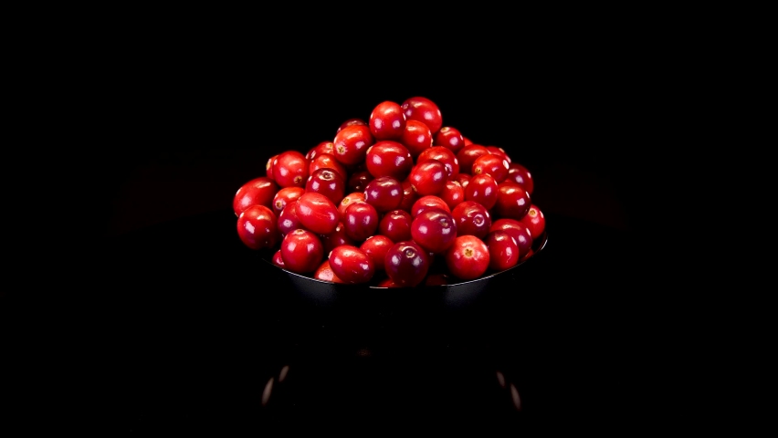 Cranberries in a black bowl, on a black background. Ripe and organic red cranberries rotating on a black background. 