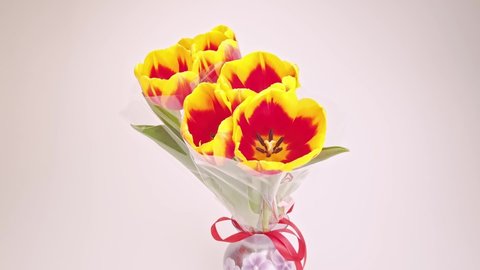 Close-up of tulips on white background. bouquet of red tulips in vase on table, greeting card, zoom in