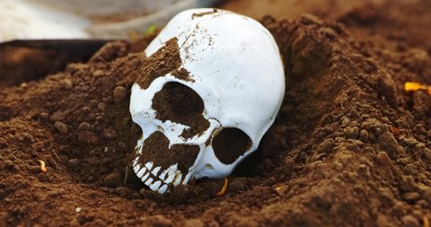 Burying skull under the soil with shovel camera sliding in