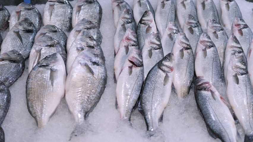 Close-up of fresh raw dorado fish and sea bass in ice on the counter in a grocery store. | Shutterstock HD Video #1083042181