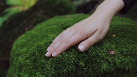 Cinematic shot of young woman touching green moss. Plant, natural protection, biodiversity and conservation concept.
