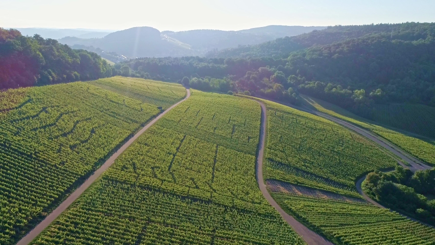 aerial view over vineyard in valley Remstal in Germany in spring, shot in UHD