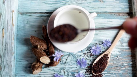 Preparing a healthy coffee substitute infusion made with chicory root, the root, the flower and a cup are displayed on a bluish wooden background