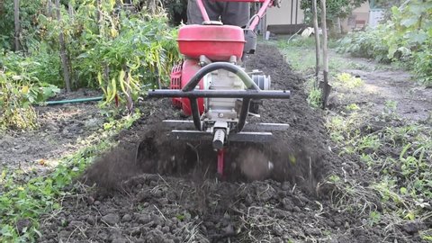 A farmer plows the land with a gasoline plow in the garden during the day, cultivating the land
