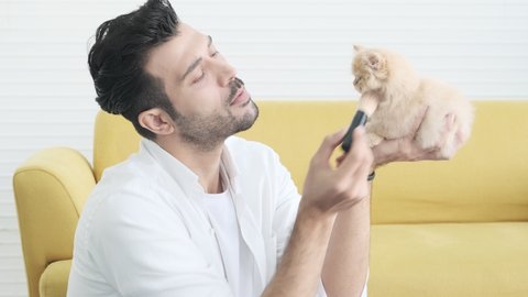 Young man uses a brush to clean and teases the cat,animal and adorable fluffy cat.