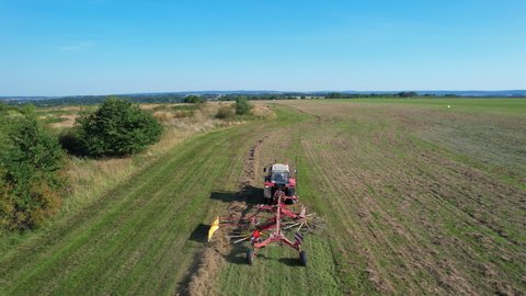 Rowing of the mown silage crop by a tractor in lines. Preparation of fodder for cattle for the winter. Top view.
