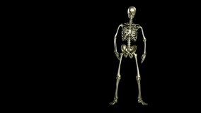Skeleton dancing. Seamless loop animation on black background, slide Hip Hop, Ghost character, Dancing Skull, Transparent video with luma matte, 3d render