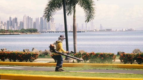 Panama , Panama - 11 24 2021: Public worker dressed in protective clothing, using leaf blower to blow towards the sides of the street recently cut grass on a promenade, Causeway of Amador, Panama City