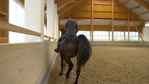 SLOW MOTION, CLOSE UP: Experienced female rider practices trotting with her stunning gelding during indoor flatwork practice. Young woman horseback riding indoors warms up her dark brown stallion.