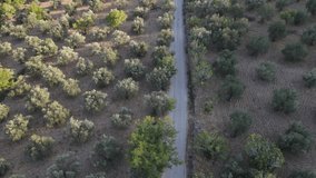 Motorbike Roads Drone Video Edremit Balikesir Turkey