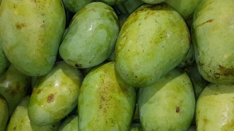 Fresh produce  of mangoes fruit to be used as food preparing ingredient for fruit salad 
