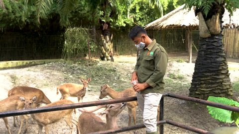 Medan, North Sumatra - Indonesia November, 29 2021. 
Zookeeper with children feeding carrots to deer in cage. deer jump to get food.