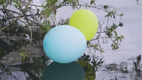 These two colored balloons got tangled behind a willow bush growing in the river and will form part of the river garbage in the near future, pollution of water bodies
