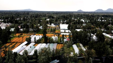 drone view of massive flower plantation in Xochimilco Mexico city