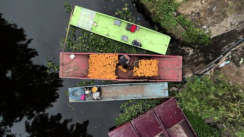 Drone shot of peasant arrange the flowers in the boat in Xochimilco, Mexico