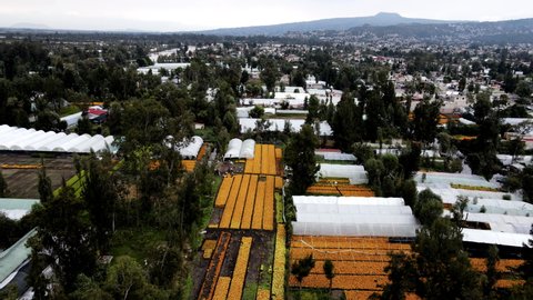 Drone view of massive plantations in Xochimilco lake in mexico city