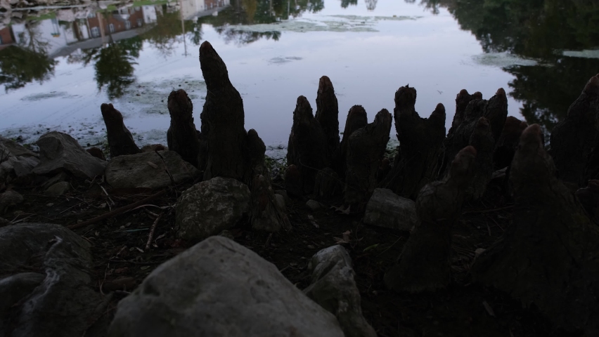 Pan Up reveal of the pond at Brentwood Forest, St. Louis, MO