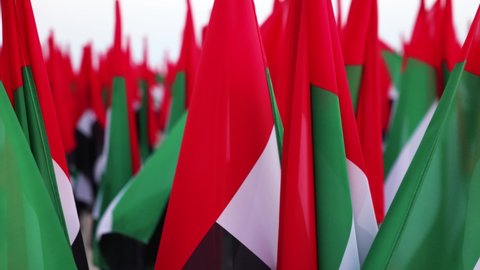 UAE flags celebrating the 50th national day of United Arab Emirates; Slow motion video close up of group of flags