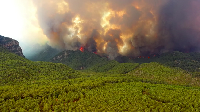  Aerial view of forest fire in Turkey. Royalty-Free Stock Footage #1083140488
