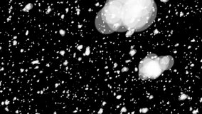 Winter Snow, Falling snow animation loop Slow motion