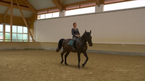 SLOW MOTION: Young Caucasian woman leads a beautiful tall black gelding to ride traver in a big sandy manege. Female horseback rider practices haunches-in riding with her stunning dark brown stallion.