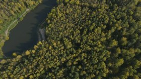 Moscow, Losiny Ostrov National Park. Aerial video of a flight over an autumn woodland and a pond with a river. The largest forest area in Moscow and among the forests located within the city limits.