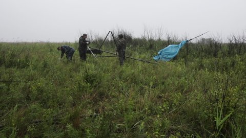 Summer, 2018 - Amursk, Khabarovsk Territory - Installation and assembly of a metal support for placing an artificial nest of a Far Eastern stork. Reserve staff work in the field during a storm.