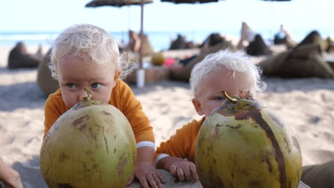 Two twin toddlers enjoying drinking fresh coconut on the sunny beach with straw umbrellas and ocean on the background