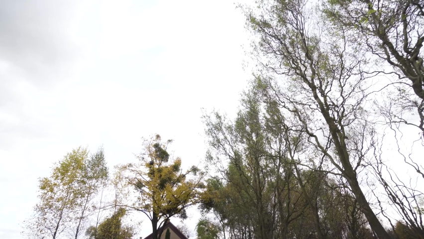 Home road with backyard, garden, lonely house and autumn colorful trees in cloudy day