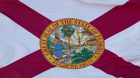 Flag of Florida state, region of the United States, waving at wind