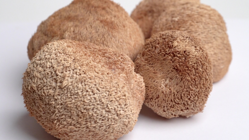 Dried Lion's Mane mushrooms or Hericium Erinaceus also called bearded tooth fungus, monkey head mushroom, yamabushitake Royalty-Free Stock Footage #1083235972