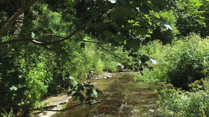 Summers Day with a Flowing Stream in a Woodland Countryside in England.
