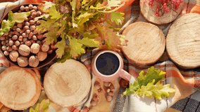 Close-up top view 4k video footage of bright autumn elements of decor isolated on plaid picnic blanket