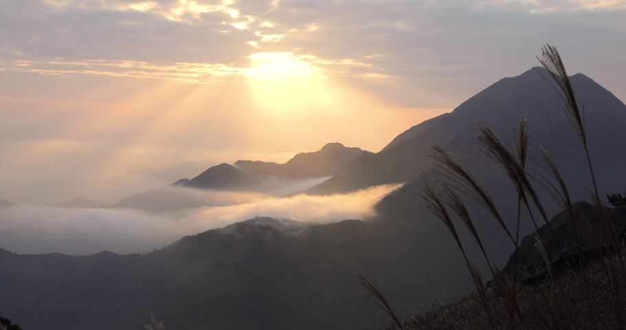 Sunset over field of Imperata cylindrica, or cogongrass or kunai grass at Sunset Peak or Tai Tung Shan in Lantau Island, Hong Kong | Shutterstock HD Video #1083292159
